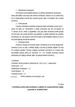 Referāts 'Cilvēkresursu izmantošanas efektivitātes paaugstināšanas veidi', 41.