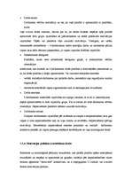 Referāts 'Cilvēkresursu izmantošanas efektivitātes paaugstināšanas veidi', 52.