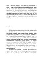 Referāts 'Cilvēkresursu izmantošanas efektivitātes paaugstināšanas veidi', 55.