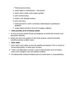 Konspekts 'Onorē de Balzaka romāna "Gorio tēvs" analīze', 2.