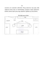 Biznesa plāns 'Biznesa plāns tūrisma uzņēmumam lauku reģionā', 10.