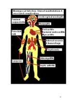 Konspekts 'Bērnu infekcijas slimības, kas noris ar izsitumiem', 15.