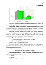 Prakses atskaite 'Kvalifikācijas prakse grāmatvedībā', 6.