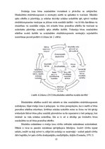 Diplomdarbs 'Sešgadīga bērna vokālo prasmju attīstības sekmēšana mūzikas nodarbībās pirmsskol', 10.