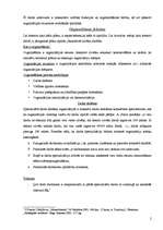 Konspekts 'Organizēšanas būtība. Organizācijas struktūras veidošana', 2.