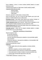 Konspekts 'Organizēšanas būtība. Organizācijas struktūras veidošana', 4.