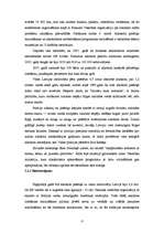 Referāts 'Attieksme pret alkoholu jauniešu vidū', 6.