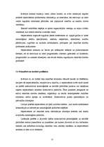 Referāts 'Attieksme pret alkoholu jauniešu vidū', 10.