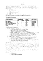 Konspekts 'Garantija', 2.