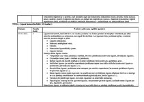 Prakses atskaite 'Kvalifikācijas prakses atskaite grāmatvedībā', 22.