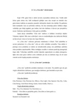 Referāts 'A/s "Cēsu alus" tirgus izpēte', 5.