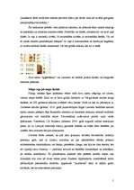 Referāts 'Fasāde', 5.