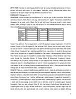 Referāts 'Itinerary Kingdom of Cambodia', 8.