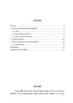 Referāts 'M. suprаspinаtus trаumаs volejbolā un to rehаbilitācijа', 2.