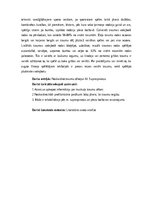 Referāts 'M. suprаspinаtus trаumаs volejbolā un to rehаbilitācijа', 3.