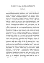 Referāts 'M. suprаspinаtus trаumаs volejbolā un to rehаbilitācijа', 4.