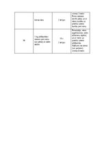 Referāts 'M. suprаspinаtus trаumаs volejbolā un to rehаbilitācijа', 19.