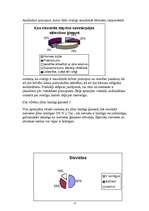 Referāts 'Mūsdienu ģimenes modelis', 12.