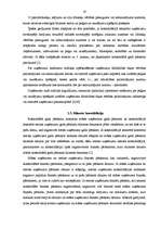 Referāts 'Konsolidētais gada pārskats un konsolidācijas procedūras', 19.