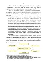 Diplomdarbs 'Speciālās ekonomiskās zonas kā uzņēmējdarbību veicinošs faktors uz Liepājas SEZ ', 10.