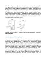 Prakses atskaite 'PIC mikrokontrolieri', 9.