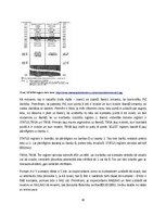 Prakses atskaite 'PIC mikrokontrolieri', 30.