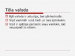 Prezentācija 'Albēra Kamī romāna "Mēris" Bernāra Rjē tēla analīze', 8.