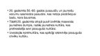 Prezentācija 'Sociālās grupas un kultūra', 25.