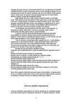 Referāts 'Līdzsvars kā koordinācijas izpausmes forma sportā', 3.