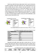 Diplomdarbs 'Biznesa klases viesnīcu pakalpojumu aktualitāte Rīgā ', 34.