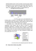 Diplomdarbs 'Biznesa klases viesnīcu pakalpojumu aktualitāte Rīgā ', 45.