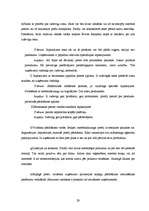 Referāts 'Produkta virzīšanas pasākumu nozīme uzņēmuma attīstībā', 29.