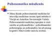 Prezentācija 'Psihosomatikas terapija', 18.