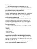 Konspekts 'Integrētā nodarbība "Pa burtu taciņu dodoties"', 2.