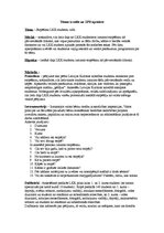 Paraugs 'Tēmas izveide un zinātniski pētnieciskā darba apraksts', 1.