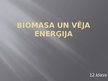 Prezentācija 'Biomasa un vēja enerģija', 1.