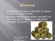 Prezentācija 'Biomasa un vēja enerģija', 2.