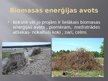 Prezentācija 'Biomasa un vēja enerģija', 5.