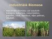 Prezentācija 'Biomasa un vēja enerģija', 7.