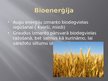 Prezentācija 'Biomasa un vēja enerģija', 8.