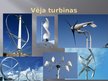 Prezentācija 'Biomasa un vēja enerģija', 30.