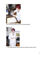 Referāts 'Kalcija un magnija karbonātu masas daļas noteikšana Kārsavas novada Mērdzenes pa', 17.