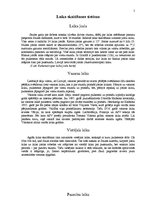 Referāts 'Laika skaitīšana', 5.