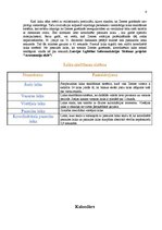 Referāts 'Laika skaitīšana', 6.