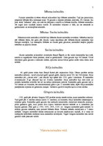 Referāts 'Laika skaitīšana', 7.