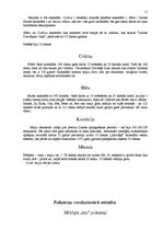 Referāts 'Laika skaitīšana', 11.