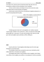 Biznesa plāns 'Biznesa plāns automazgātavai', 11.