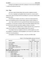 Biznesa plāns 'Biznesa plāns automazgātavai', 14.