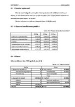 Biznesa plāns 'Biznesa plāns automazgātavai', 31.