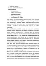 Konspekts '"Protestantisma ētika un kapitālisma gars" M.Vēbers', 3.